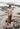 W5498_HAZELNUT_5_1785958269