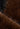 W7313_BRUNETTE_6_1777460408