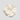 W7348_IVORY_2_1756874323